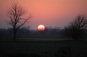 Sunset at the farm