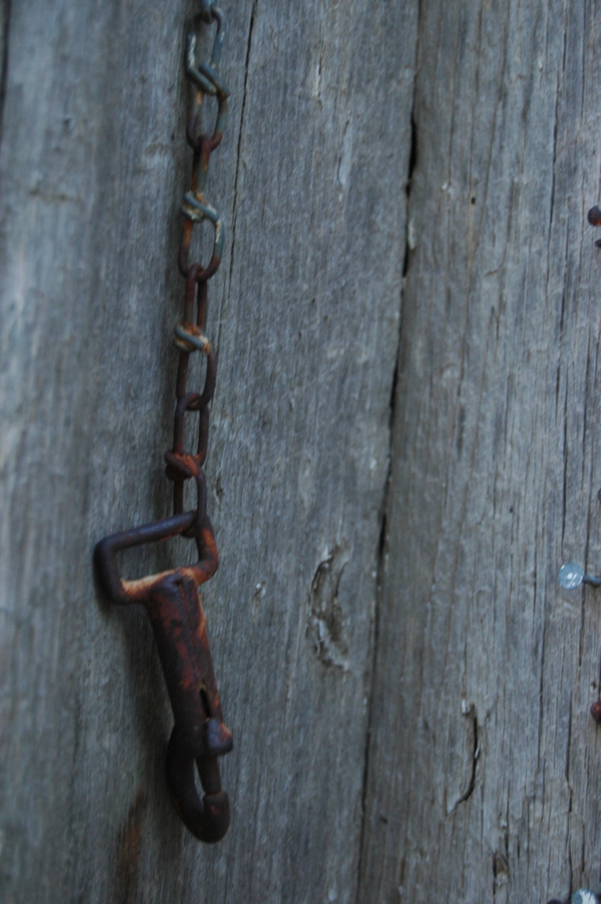 Rusted chain on the schoolhouse door - Safe Haven Farm, Haven, KS