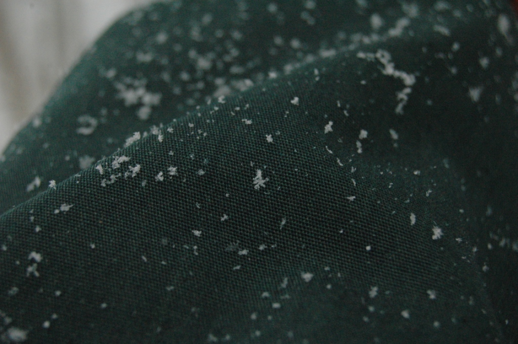 Snowflakes on the sleeve of my coat, Safe Haven Farm, Haven, KS