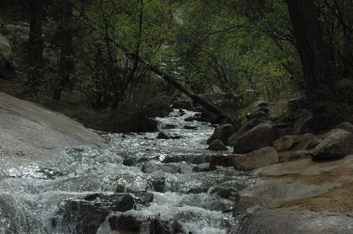 Rushing river on the way to Helen Hunt Falls, Colorado Springs, CO